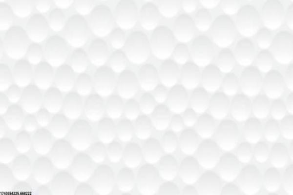 十堰体育生篮球培训机构选择指南(图1)